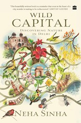 Wild Capital